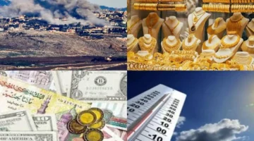 أزمة المحافظ الإلكترونية.. مفاجأة وراء تعطل الخدمة وتحذيرات من أسعار الطماطم قبل رمضان